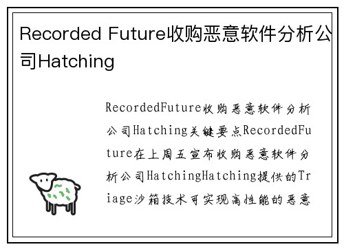 Recorded Future收购恶意软件分析公司Hatching 