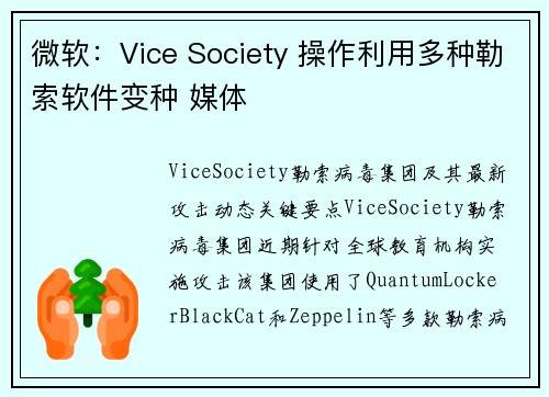 微软：Vice Society 操作利用多种勒索软件变种 媒体